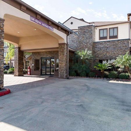 Comfort Suites Lake Jackson Clute Екстериор снимка